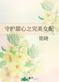 《守护甜心之完美女配》