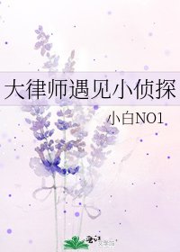 《大律师遇见小侦探》