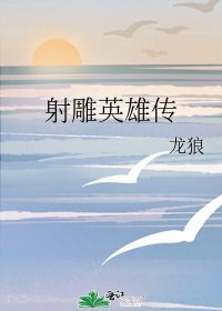 《射雕英雄传》