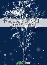 《(泰坦尼克)贵族小姐总有些小直觉》