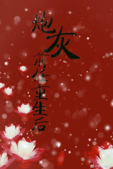 炮灰前任重生后