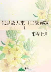 《似是故人来(二战穿越)》