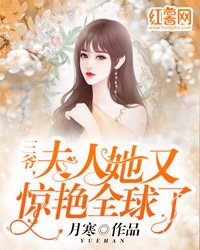 《三爷,夫人她又惊艳全球了》
