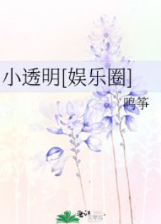 小透明[娱乐圈]