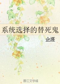 《系统选择的替死鬼》