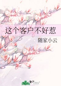 《这个客户不好惹》