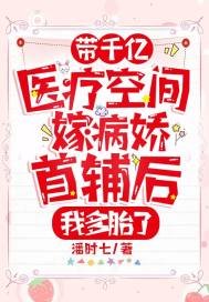 《带千亿医疗空间嫁病娇首辅后,我多胎了》