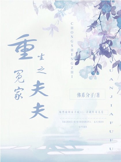 《重生之冤家夫夫》