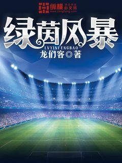 《绿茵风暴》