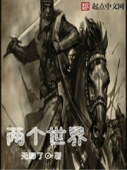 《二个世界》