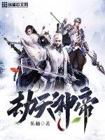 《劫天神帝》