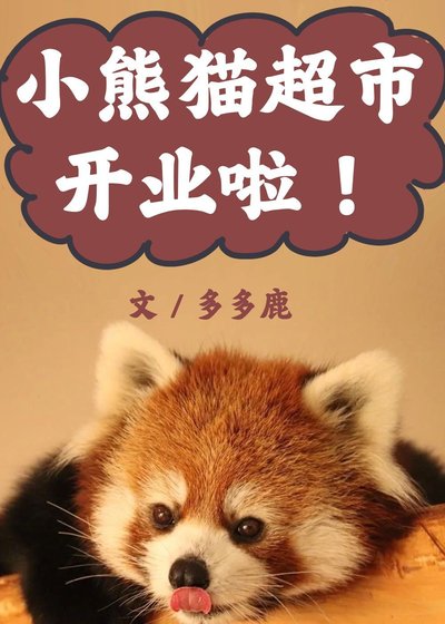 《小熊猫超市开业啦!》