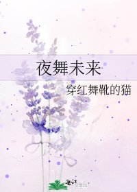 《夜舞未来》