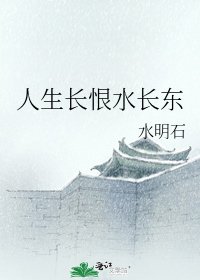 《人生长恨水长东》
