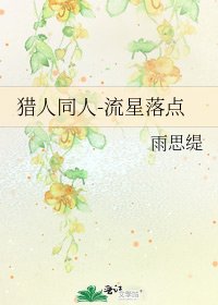 《猎人同人-流星落点》