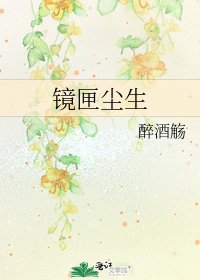 《镜匣尘生》