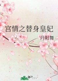 《宫情之替身皇妃》