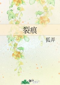 《裂痕》