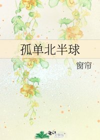 《孤单北半球》