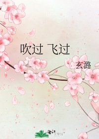 《吹过 飞过》