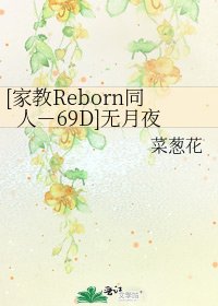 [家教Reborn同人－69D]无月夜