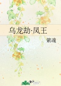 《乌龙劫·凤王》