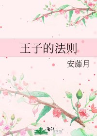 王子的法则