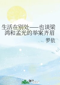 《生活在别处——也谈梁鸿和孟光的举案齐眉》