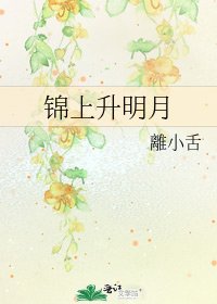 《锦上升明月》
