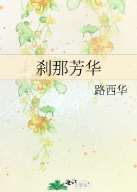 《刹那芳华》