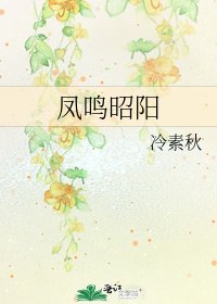 《凤鸣昭阳》