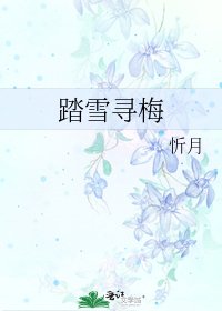 《踏雪寻梅》