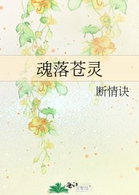 《魂落苍灵》