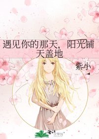 遇见你的那天，阳光铺天盖地