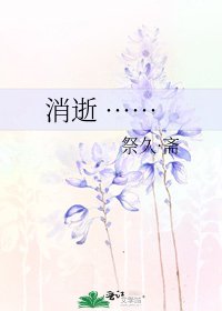 《消逝 ……》