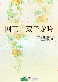 《网王-双子龙吟》