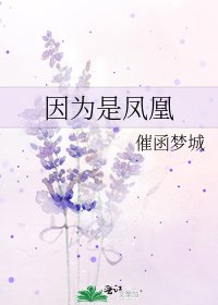 《因为是凤凰》