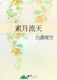 《素月流天》