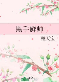 《黑手鲜师》