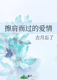 《擦肩而过的爱情》