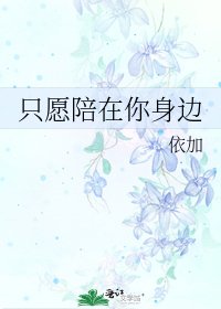 《只愿陪在你身边》