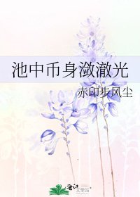 《池中币身潋澈光》
