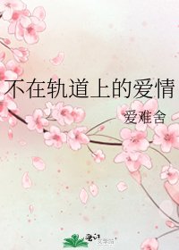 不在轨道上的爱情
