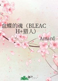 《血蝶的魂(BLEACH+猎人)》