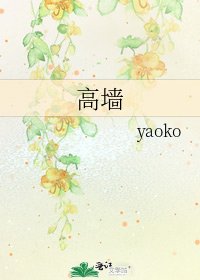 《高墙》
