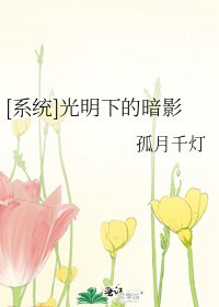 [系统]光明下的暗影