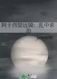 《阿卡西望远镜:乱中求治》