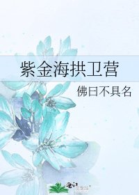 紫金海拱卫营