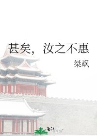 甚矣，汝之不惠