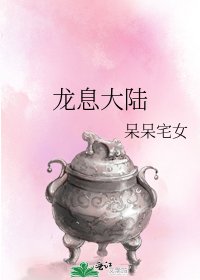 《龙息大陆》